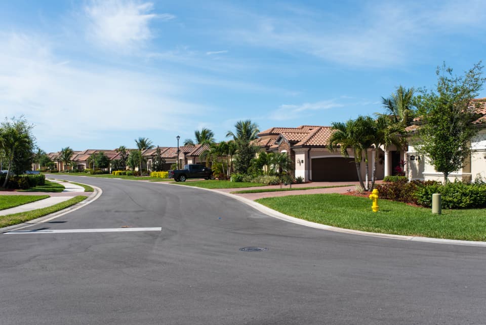 A quiet suburban street lined with single-family houses and palm trees