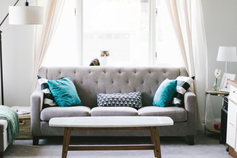Living room with a grey tufted sofa and teal cushions
